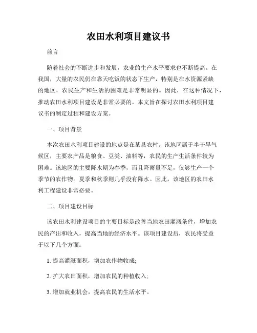 农田水利项目建议书