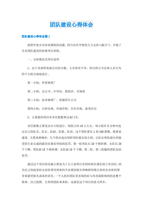 团队建设心得体会