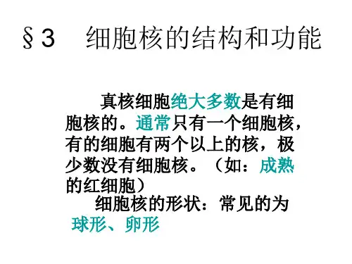 细胞核的结构和功能(201911整理)