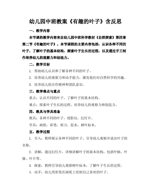 幼儿园中班教案《有趣的叶子》含反思