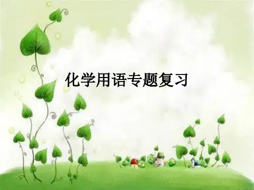 2020~2021学年人教版化学复习课：化学用语专题复习 课件