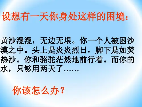 《鲁滨孙漂流记》ppt课件完整