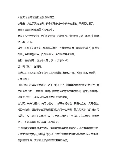 人生天地之间,若白驹过隙,忽然而已