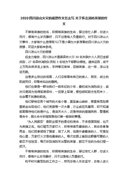 2020四川凉山火灾的感想作文怎么写关于怀念消防英雄的作文