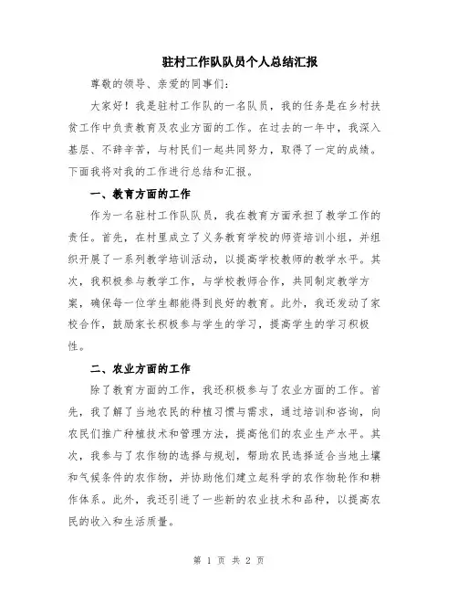 驻村工作队队员个人总结汇报