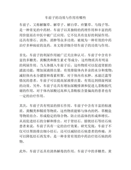 车前子的功效与作用有哪些