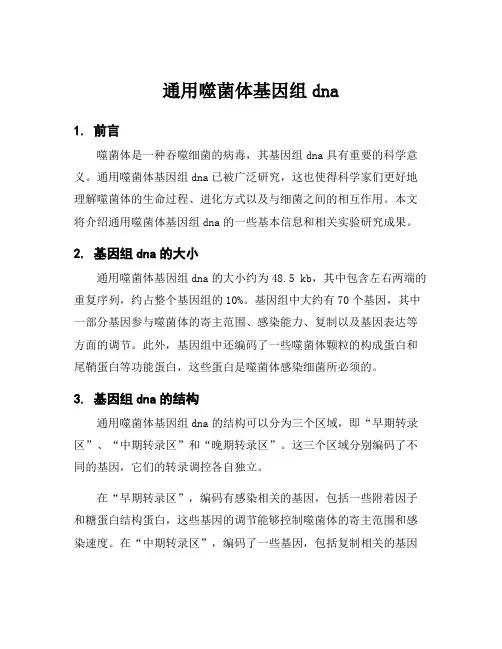 通用噬菌体基因组dna