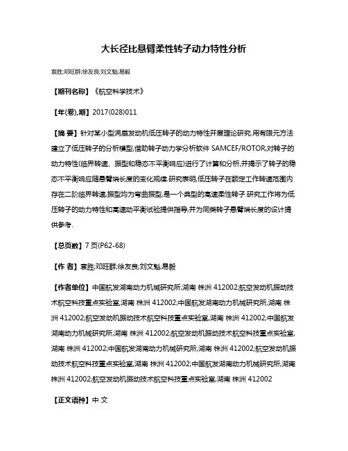 大长径比悬臂柔性转子动力特性分析