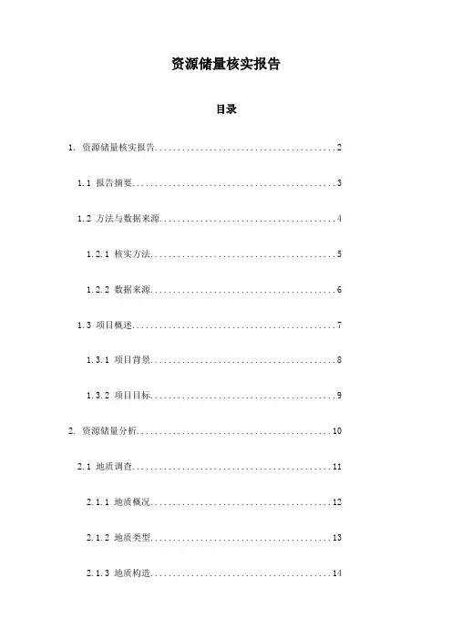 资源储量核实报告