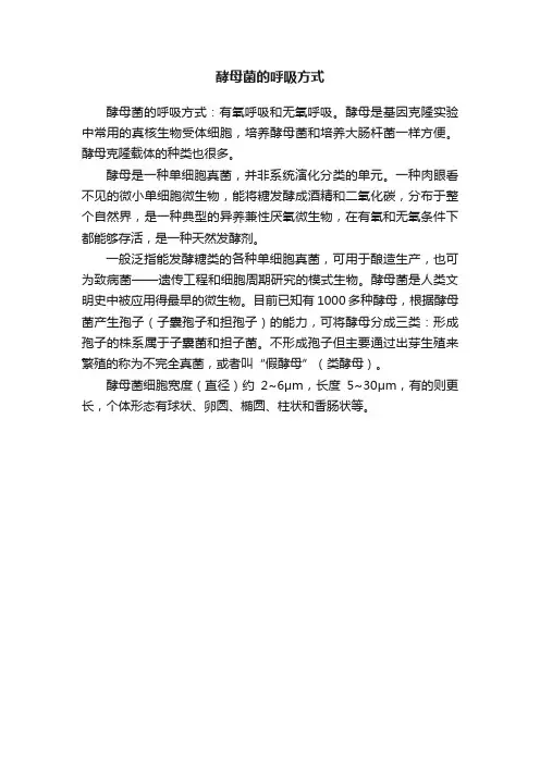 酵母菌的呼吸方式
