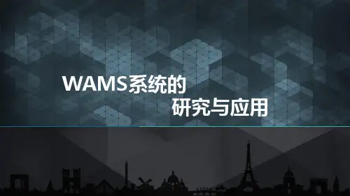 WAMS研究与应用