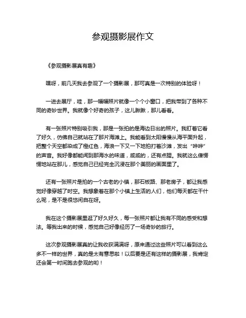 参观摄影展作文