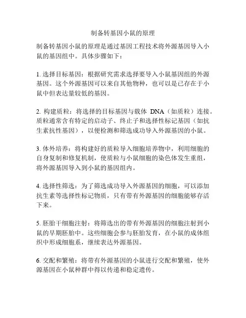 制备转基因小鼠的原理