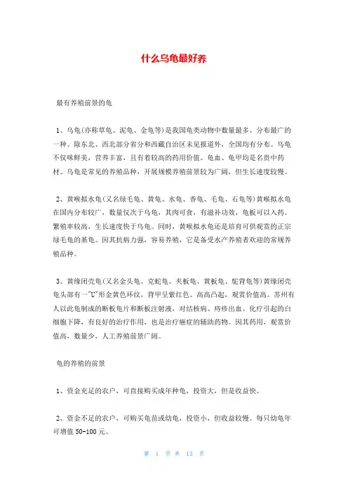 什么乌龟最好养