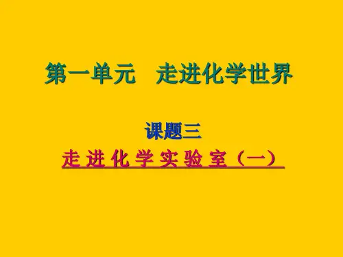 走进化学实验室PPT课件(22)
