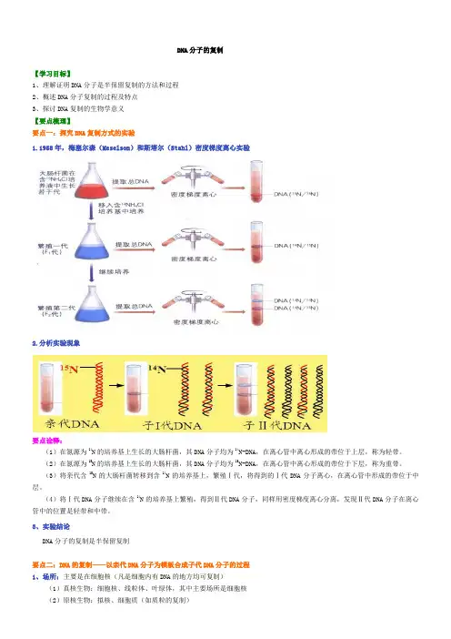 DNA的复制 知识讲解