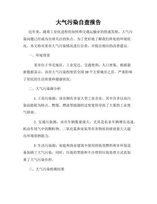 大气污染自查报告