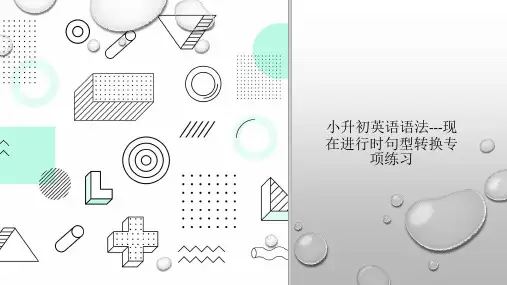 小升初英语语法---现在进行时句型转换专项练习