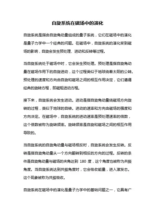 自旋系统在磁场中的演化
