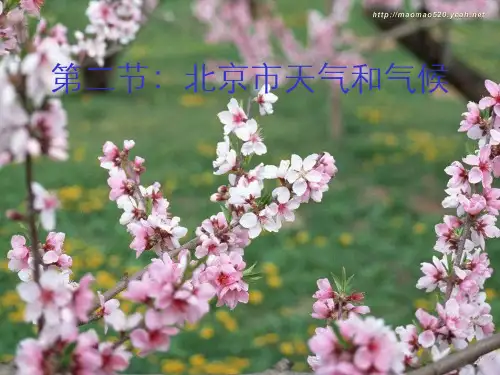 北京市天气和气候