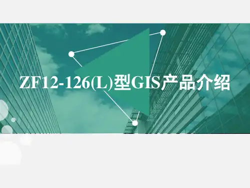 1-ZF12-126  GIS产品介绍 (2020