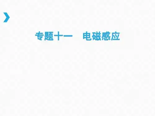 2018年高考物理(课标Ⅱ专用)复习专题测试(必考)专题十一 电磁感应 (共162张PPT)