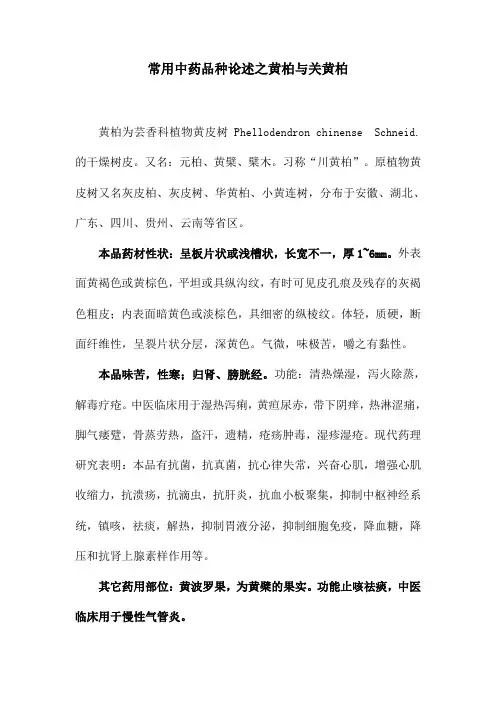 常用中药品种论述之黄柏与关黄柏