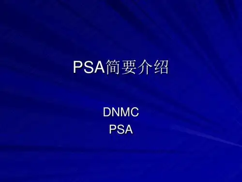 PSA简要介绍