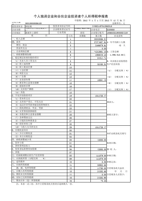 2012--个人独资企业所得税申报表