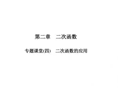 北师大版九年级数学下册(课件)专题课堂(四) 二次函数