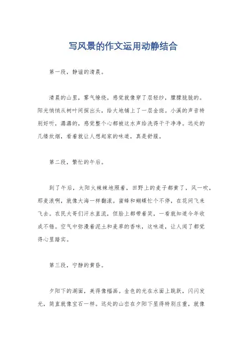 写风景的作文运用动静结合
