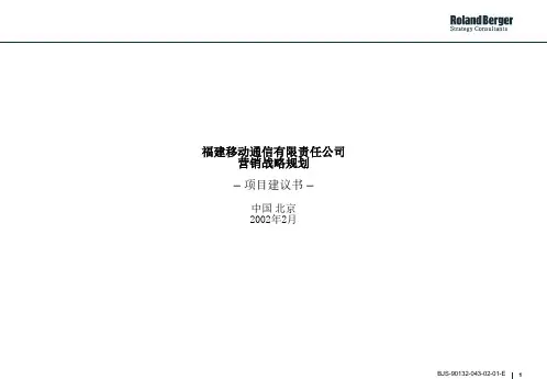 罗兰贝格咨询报告