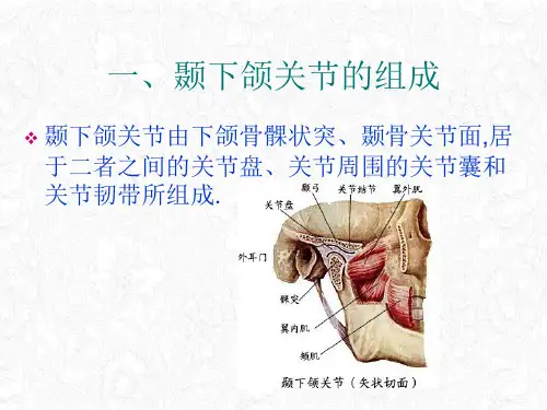 面部肌肉神经局解ppt课件