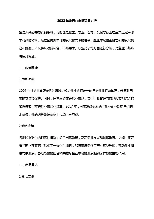 2023年盐行业市场环境分析