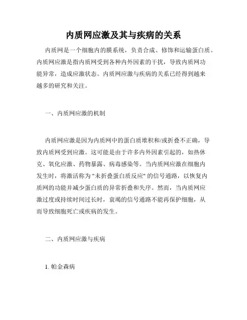 内质网应激及其与疾病的关系