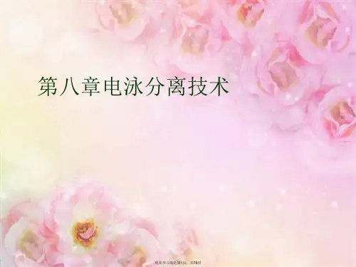 第八章电泳分离技术