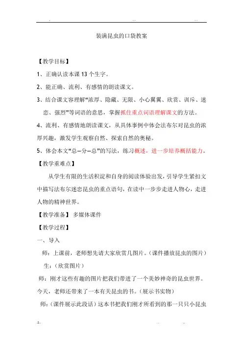 装满昆虫的口袋教案