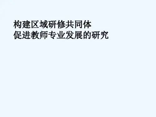 构建区域研修共同体促进教师专业发展