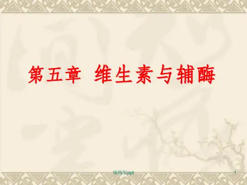 生物化学第五章 维生素与辅酶