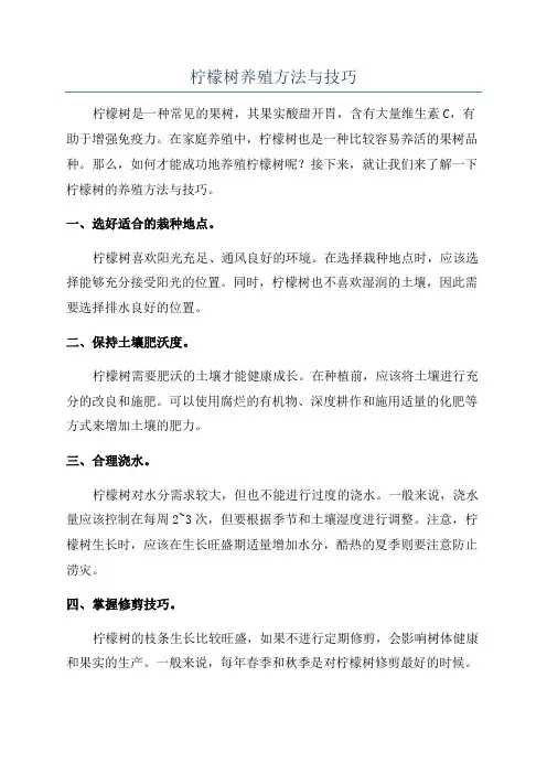 柠檬树养殖方法与技巧