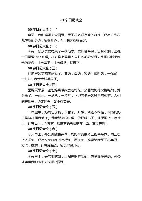 30字日记大全