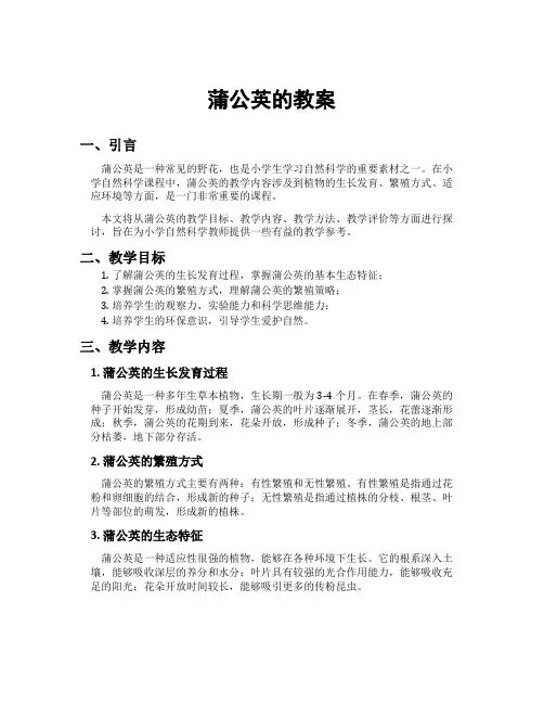 蒲公英的教案
