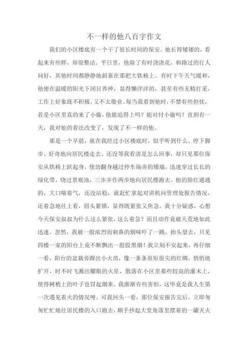 不一样的他八百字作文