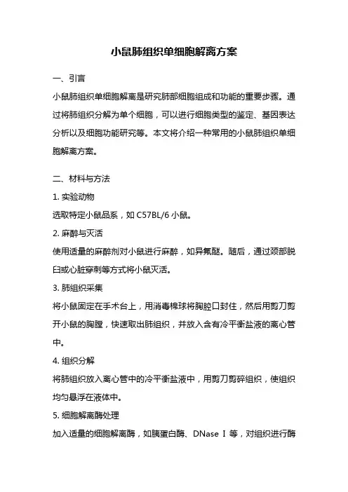 小鼠肺组织单细胞解离方案