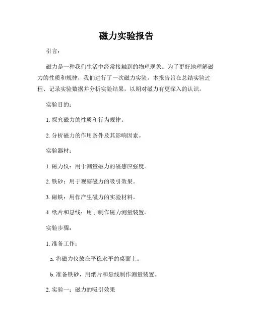 磁力实验报告