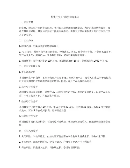 村集体项目可行性研究报告