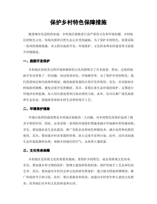 保护乡村特色保障措施