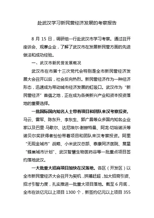 赴武汉学习新民营经济发展的考察报告