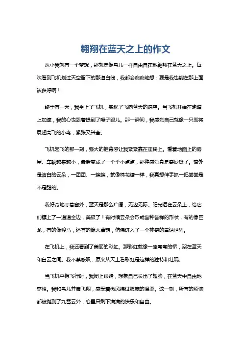 翱翔在蓝天之上的作文