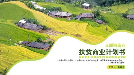 互联网农业扶贫商业计划书通用PPT模板
